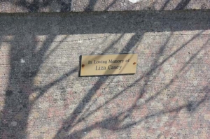 Casey Liza